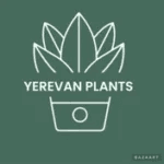Yerevan Plants